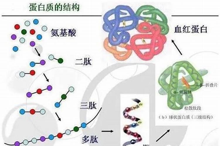 先正达氨基酸水溶肥的功效与作用