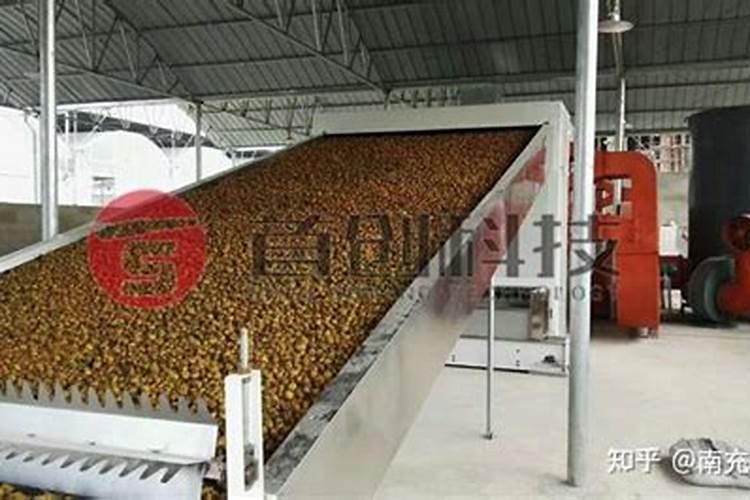 牛粪有机肥的制作方法 牛粪怎么做有机肥