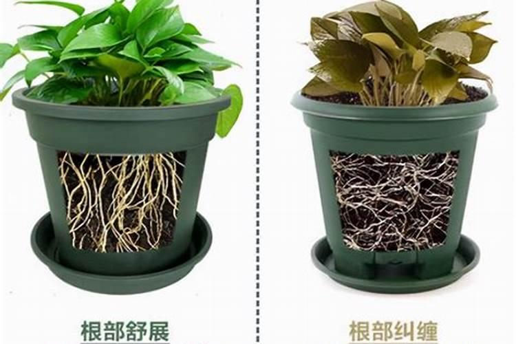 花用复合肥怎么用