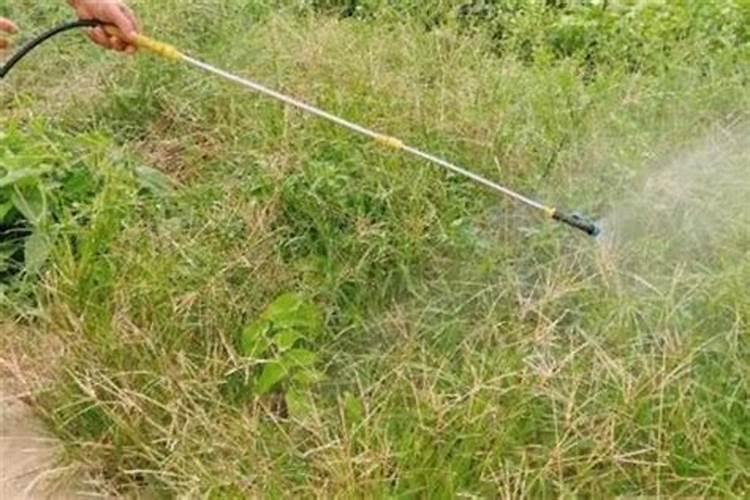 中国含腐植酸水溶肥十大排名