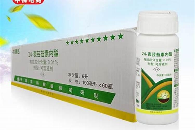 浇地坪水泥用什么标号