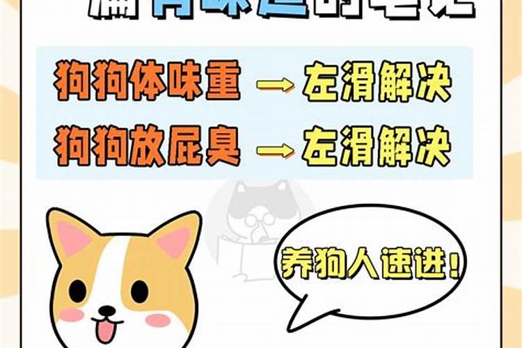 氨味和什么味道相似