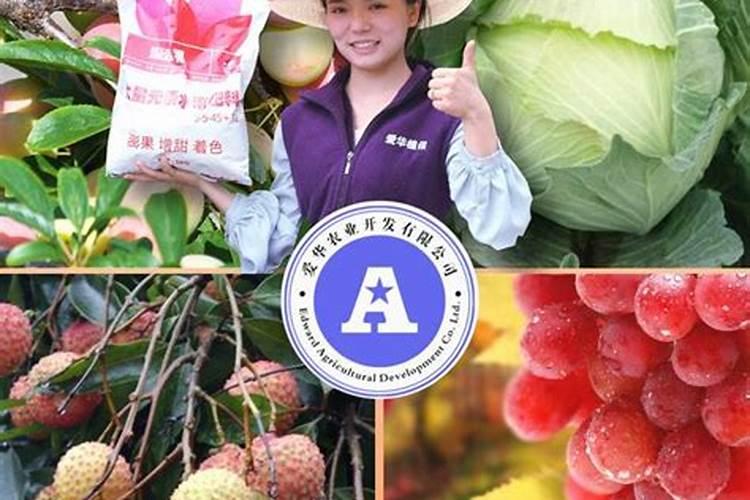 草莓大棚打药 红糖可以和膨果一起打吗？