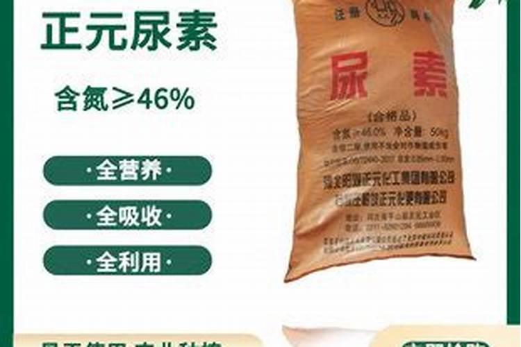 南瓜种子催芽方法