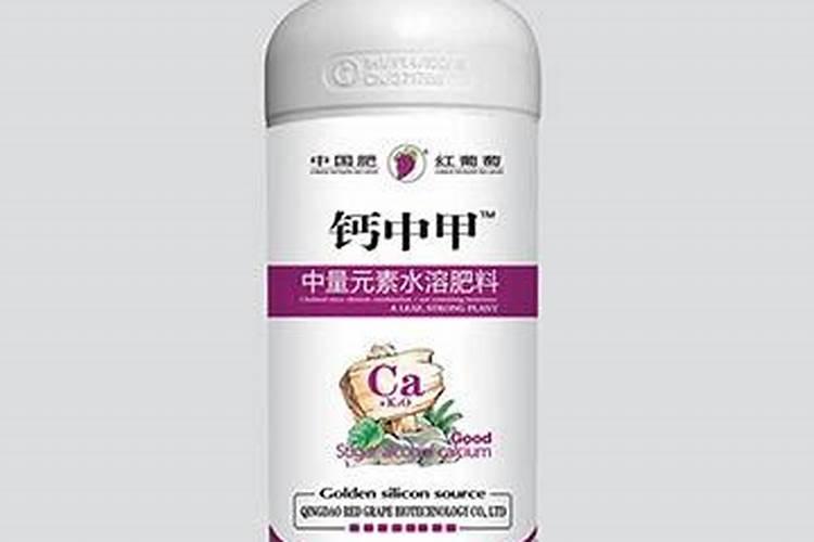多肉半死不活,就加这7样东西,立马活过来~多肉植物馆  花卉网百度知...