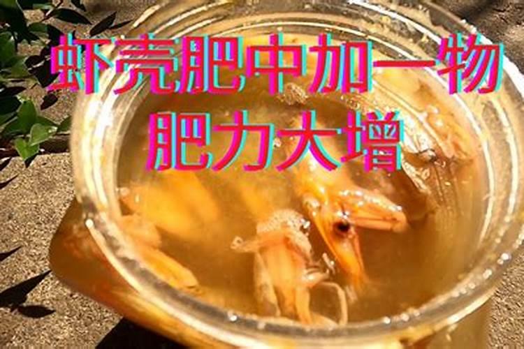 田螺怎么沤花肥？