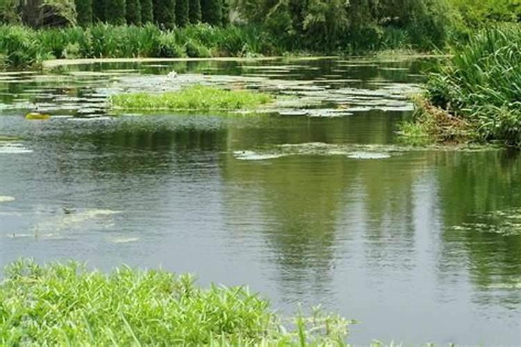 硼酸溶液的配制方法