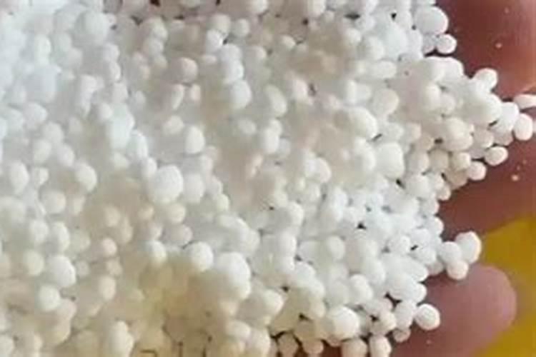 怎样使绿叶植物叶子绿