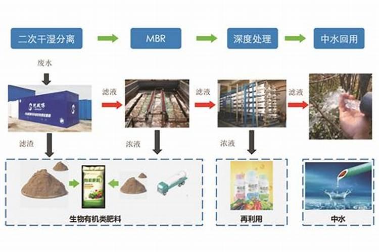 江苏金农股份:引领农业科技发展,打造乡村振兴新引擎