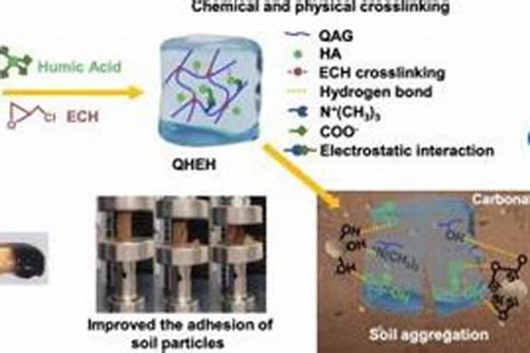 在绿豆种植园区遇到高温40度会怎么样