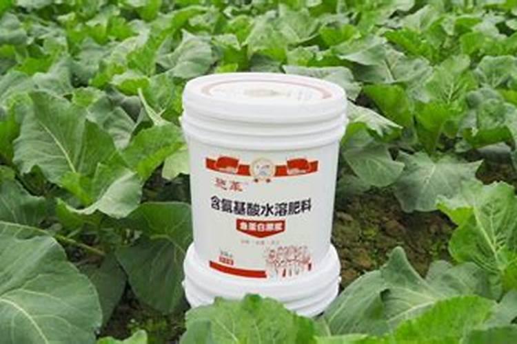 种土豆的方法,用什么底肥最好