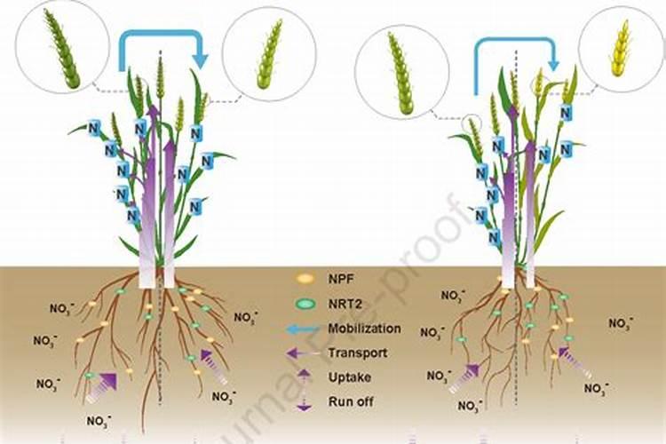 铜仁碱铜涂料光亮剂批发价