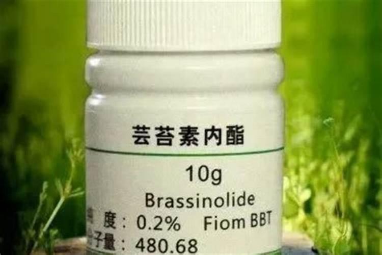 磷肥什么牌子好 磷肥有哪些牌子