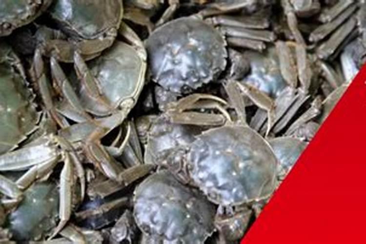 双动力化肥怎样