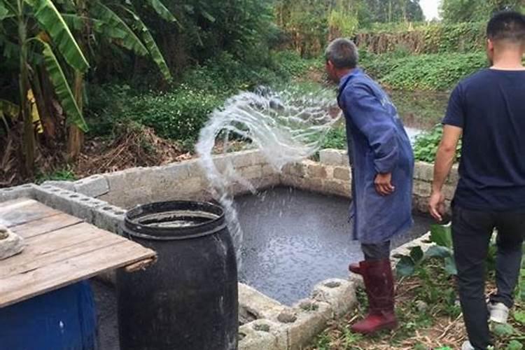 下列物质按氧化物、酸、碱、盐、混合物的顺序排列的是