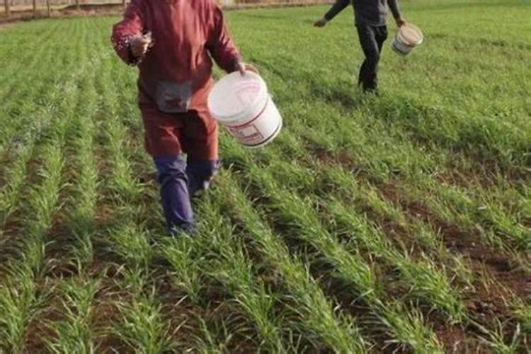 维他奶事件为什么下架