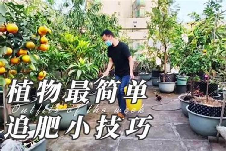 单兵一个基数的武器弹药是多少？