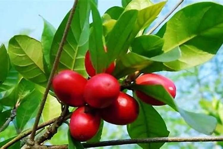 信阳商城化肥厂还生产吗