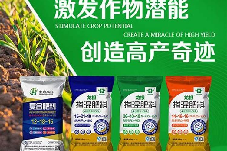 芒果花抹去还会不会开第二次