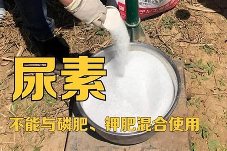 磷肥溶于水吗