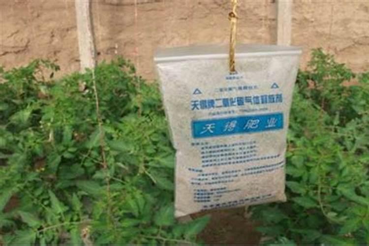 钾肥是什么肥料 钾肥对植物的作用