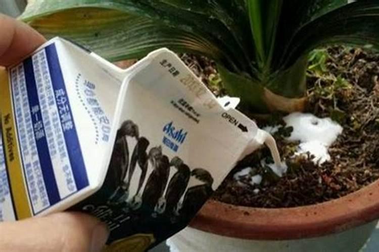 氮肥磷肥钾肥可以同时兑水浇花吗