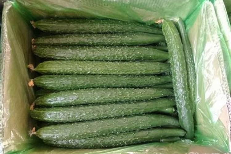 黄瓜定植后浇什么肥料