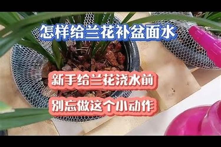 水稻后期能用钾肥吗