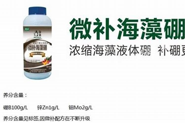 海状元海状元
