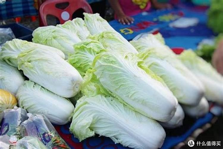 种植大白菜怎样施肥才产量高(种大白菜需要什么底肥)