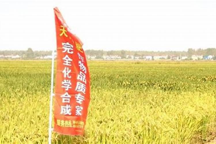 一亩大豆需要施多少化肥