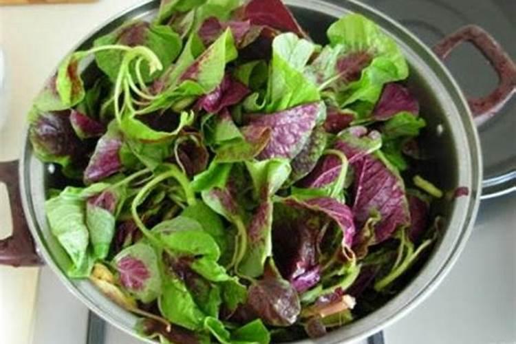 苋菜喜欢什么肥料