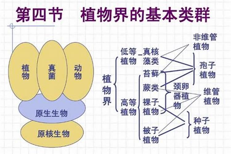 大、中、微量元素的区别