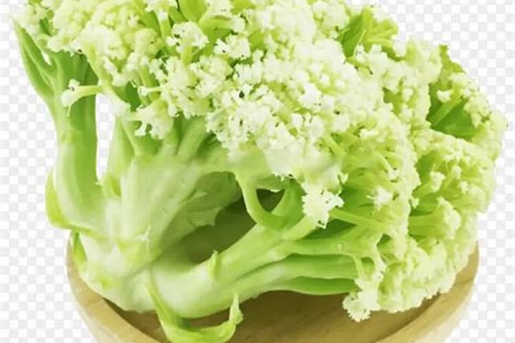 松花菜缺硼肥什么现壮