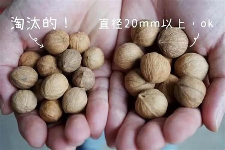 水溶肥十大名牌
