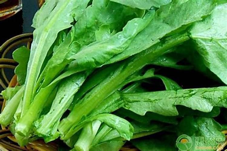 吃什么补钾最快最好 补钾的菜品有哪些