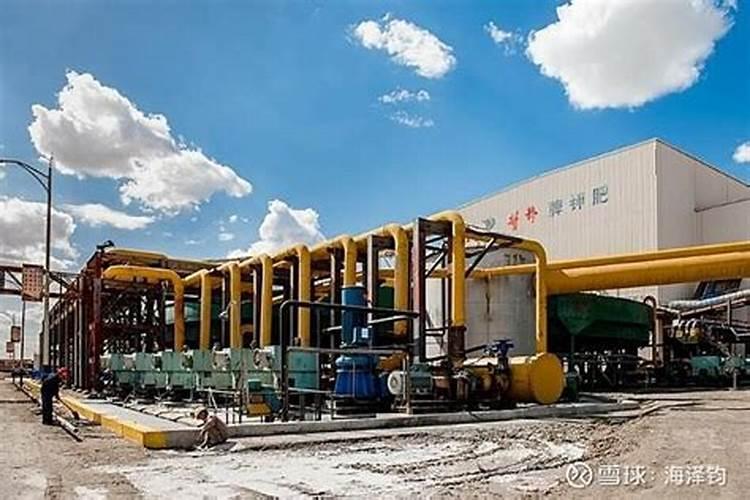 000792盐湖股份今天怎么了