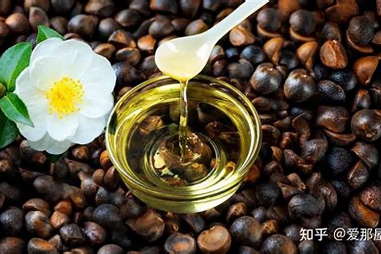 山茶油种植相关问题请教高手!