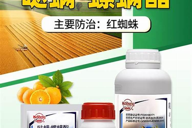 茄子红蜘蛛和呀虫比较多打什么药