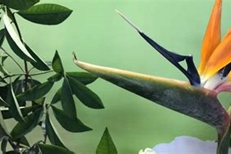 认清"多巴胺"实现自律上瘾