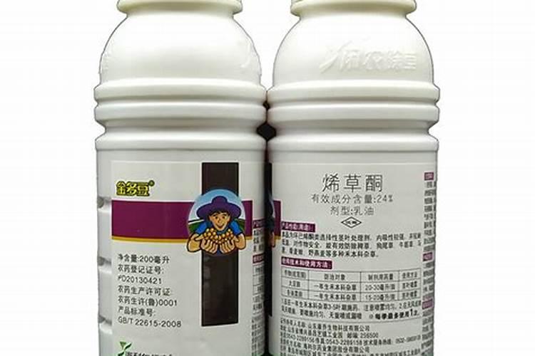 多肉施肥用什么肥料 多肉施肥方法