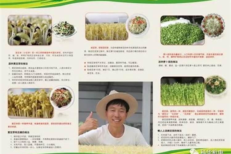 用什么药剂催果长大？