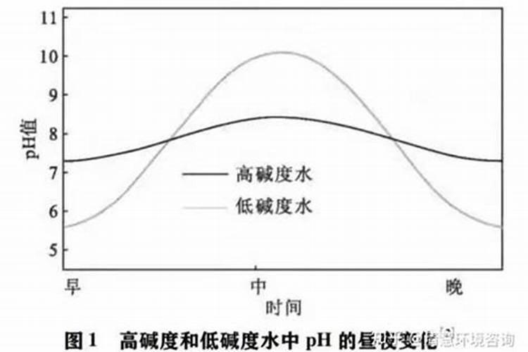 碱性土壤用什么肥料比较好