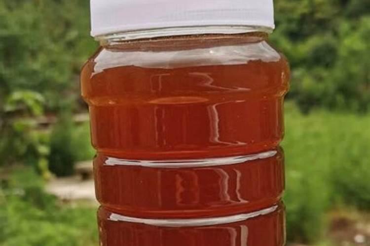 青岛施可富生物科技有限公司怎么样？