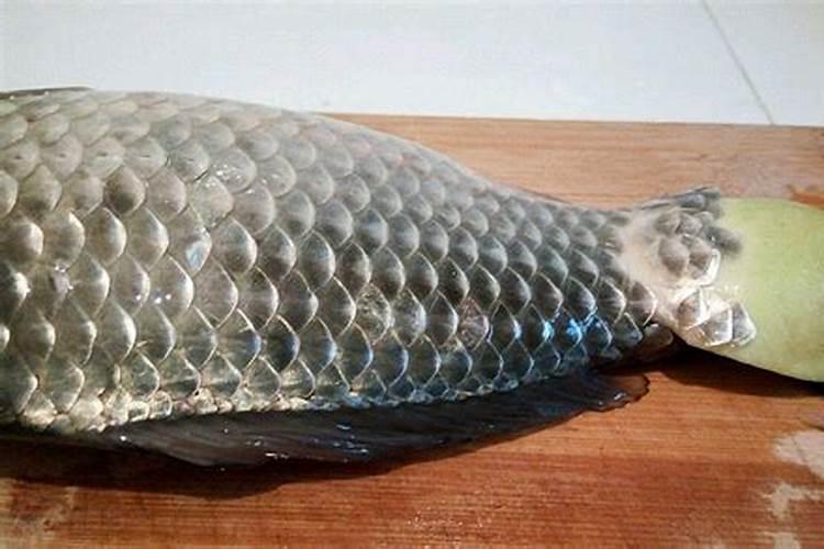 磷肥的沤制方法