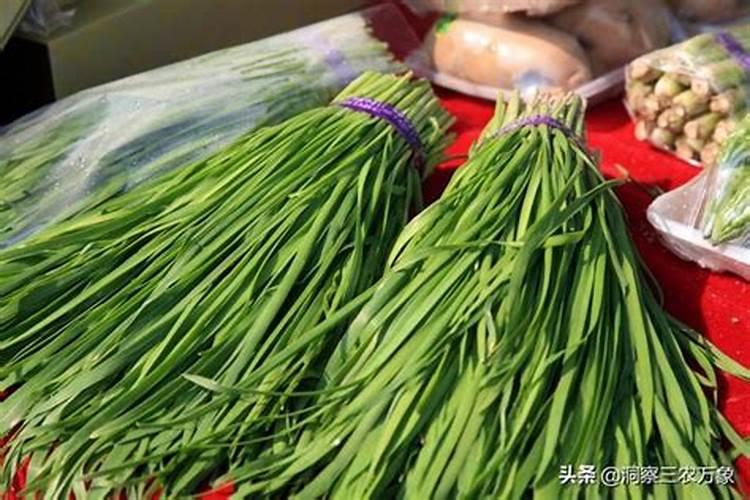 白醋浇韭菜正确方法