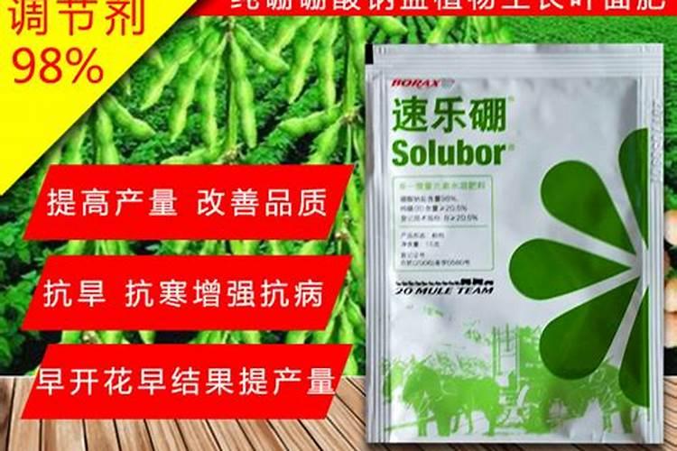 叶面肥用硼酸好还是硼砂好？