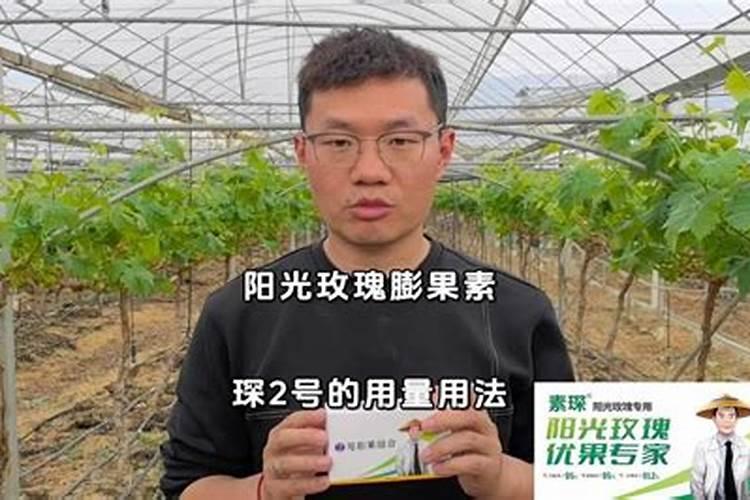 阳光玫瑰萌芽期用肥