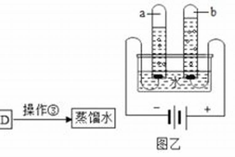 求个生态系统的氮气循环的过程介绍