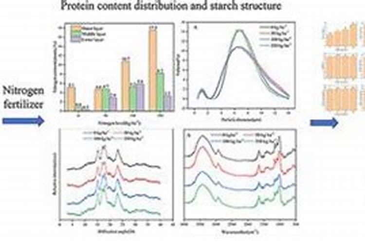 氮肥主要作用有哪些？如何提高氮肥利用率？